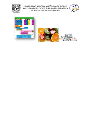 UNIVERSIDAD NACIONAL AUTÓNOMA DE MÉXICO
FACULTAD DE ESTUDIOS SUPERIORES ZARAGOZA
        LICENCIATURA EN ENFERMERÍA
 