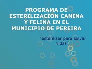 PROGRAMA DE
ESTERILIZACION CANINA
    Y FELINA EN EL
 MUNICIPIO DE PEREIRA
        “esterilizar para salvar
                 vidas”.
 