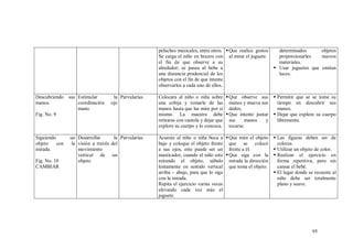 95
peluches musicales, entre otros.
Se carga el niño en brazos con
el fin de que observe a su
alrededor; se pasea al bebe a
una distancia prudencial de los
objetos con el fin de que intente
observarlos a cada uno de ellos.
Que realice gestos
al mirar el juguete.
determinados objetos
proporcionarles nuevos
materiales.
 Usar juguetes que emitan
luces.
Descubriendo sus
manos.
Fig. No. 9
Estimular la
coordinación ojo
mano.
Parvularias Colocara al niño o niña sobre
una cobija y tomarle de las
manos hasta que las mire por si
mismo. La maestra debe
retirarse con cautela y dejar que
explore su cuerpo y lo conozca.
Que observe sus
manos y mueva sus
dedos.
Que intente juntar
sus manos y
tocarse.
 Permitir que se se tome su
tiempo en descubrir sus
manos.
 Dejar que explore su cuerpo
libremente.
Siguiendo un
objeto con la
mirada.
Fig. No. 10
CAMBIAR
Desarrollar la
visión a través del
movimiento
vertical de un
objeto.
Parvularias Acueste al niño o niña boca a
bajo y coloque el objeto frente
a sus ojos, este puede ser un
masticador, cuando el niño este
mirando el objeto, súbalo
lentamente en sentido vertical
arriba – abajo, para que lo siga
con la mirada.
Repita el ejercicio varias veces
elevando cada vez más el
juguete.
Que mire el objeto
que se colocó
frente a él.
Que siga con la
mirada la dirección
que toma el objeto.
 Las figuras deben ser de
colores.
 Utilizar un objeto de color.
 Realizar el ejercicio en
forma repetitiva, pero sin
cansar el bebé.
 El lugar donde se recueste al
niño debe ser totalmente
plano y suave.
 