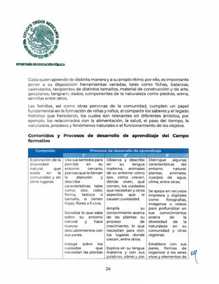 )IUDOS
~ .
'
~
í3
''~~
SECRETARIADEEDUCACIÓNPmllJCA
Cada quien aprende de distinta manera y a su p ropio ritmo; por ello, es importante
poner a su disposición herramientas variadas, tales como fichas, balanzas,
calendarios, recipientes de distintos tamaños, material de construcción y de arte,
geoplanos, tangram, d ados, componentes de la naturaleza como piedras, arena,
semillas entre otros.
Las familias, así como otras personas de la comunidad, cumplen un papel
fundamental en la formación de niñas y niños, al compartir los saberes y el legado
histórico que heredaron, los cuales son relevantes en diferentes ámbitos, por
ejemplo, los relacionados con la alimentación, la salud, el paso del tiempo, la
naturaleza, procesos y fenómenos naturales o el funcionamiento de los objetos.
Contenidos y Procesos de desarrollo de aprendizaje del Campo
formativo
Exploración de la
diversidad
natural que
existe en la
comunidad y en
otros lugares.
Usa sus sentidos para
percibir en su
entorno cercano,
plantas que le llaman
la atención y
describe
características tales
como: olor, color,
forma, textura o
tamaño, si tienen
hojas,flores o f rutes.
Socializa lo que sabe
sobre su entorno
natural y hace
nuevos
descubrimientos con
sus pares.
Observa y describe
en su lengua
materna, animales
de su entorno: cómo
son, cómo crecen,
dónde viven, qué
comen, los cuidados
que necesitan y otros
aspectos que le
causan curiosidad.
Amplía su
conocimiento acerca
de las plantas: su
proceso de
crecimiento, lo que
necesitan para vivir,
los lugares donde
crecen, entre otros.
Distingue algunas
características del
entorno natural:
plantas, animales,
cuerpos de agua,
clima, entre otras.
Se apoya en recursos
impresos y digitales
como fotografías,
imágenes o videos
para profundizar en
sus conocimientos
acerca de la
diversidad de la
naturaleza en su
comunidad y otras
regiones.
Indaga sobre los Establece con sus
cuidados que Explica en su lengua pares, formas de
necesitan las plantas materna y con sus organizar a los seres i
palabras, cómo y por vivos y elementos de
~ ~ ~ ~ _ _ . . _ _ _ _ _ _ _ _ _ _ _ ~
24
 