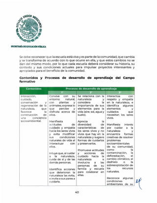 ~os
~
{Z
'~~
~-
-
SECRETAIÚADEEDUCACióNPllBUCA
Se debe reconocer que la escuela está viva yes parte de la comunidad, que cambia
y se transforma de acuerdo con lo que ocurre en ella, y que estos cambios no se
dan del mismo m odo, por lo que cada escuela deberá considerar su historia, su
contexto y sus condiciones actuales para impulsar proyectos interesantes y
apropiados para el beneficio de la comunidad.
Contenidos y Procesos de desarrollo de aprendizaje del Campo
formativo
Interacción,
cuidado,
conservación y
regeneración de la
naturaleza, que
favorece la
construcción de
una conciencia
socioambiental.
Convive con su
entorno natural,
con plantas y
animales; expresa lo
que percibe y
disfruta acerca de
ellos.
Se relaciona con la
naturaleza y
considera la
importancia de sus
elementos para la
vida (aire, sol, agua y
suelo).
Manifiesta Aprecia la
actitudes de diversidad de
cuidado y empatía características de
hacia los seres vivos los seres vivos y no
y evita modificar vivos que hay en la
sus condiciones naturaleza y sugiere
naturales de vida al formas de cuidarlos
interactuar
ellos.
con y preservarlos.
Intuye que, al cuidar
a la naturaleza,
cuida de sí y de las
demás personas.
Promueve actitudes
y acciones de
cuidado hacia la
naturaleza e
involucra a las
personas de su
Identifica acciones familia y escuela
que deterioran la para colaborar en
naturaleza las evita, ellas.
Interactúa con
respeto y empatía
en la naturaleza, e
identifica algunos
elementos y
cuidados que
necesitan los seres
vivos.
Manifiesta
por cuidar
naturaleza
encuentra
interés
a la
y
formas
creativas de resolver
problemas
socioambientales
de su comunidad,
como la
contaminación, la
deforestación, el
cambio climático, el
deshielo o la
sobreexplotación de
los recursos
naturales.
cuidarla. condiciones
ambientales de su
e invita a sus pares a Reconoce algunas ~
' - - - - - - - ~ ~ ~ - -
40
 