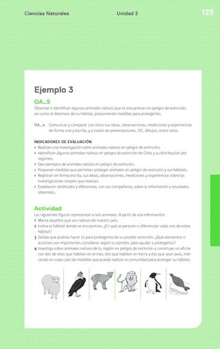 Ciencias Naturales Unidad 3 123 
Ejemplo 3 
OA5 
Observar e identificar algunos animales nativos que se encuentran en peligro de extinción, 
así como el deterioro de su hábitat, proponiendo medidas para protegerlos. 
OA_e Comunicar y comparar con otros sus ideas, observaciones, mediciones y experiencias 
de forma oral y escrita, y a través de presentaciones, TIC, dibujos, entre otros. 
INDICADORES DE EVALUACIÓN 
› Realizan una investigación sobre animales nativos en peligro de extinción. 
› Identifican algunos animales nativos en peligro de extinción de Chile y su distribución por 
regiones. 
› Dan ejemplos de animales nativos en peligro de extinción. 
› Proponen medidas que permitan proteger animales en peligro de extinción y sus hábitats. 
› Registran en forma escrita, sus ideas, observaciones, mediciones y experiencias sobre las 
investigaciones simples que realizan. 
› Establecen similitudes y diferencias, con sus compañeros, sobre la información y resultados 
obtenidos. 
Actividad 
Las siguientes figuras representan a seis animales. A partir de esa información: 
1 Marca aquellos que son nativos de nuestro país. 
2 Indica el hábitat donde se encuentran. ¿En qué se parecen o diferencian cada uno de estos 
hábitat? 
3 Señala que podrías hacer tú para protegerlos de su posible extinción. ¿Qué elementos o 
acciones son importantes considerar según tu opinión, para ayudar a protegerlos? 
4 Investiga sobre animales nativos de tu región en peligro de extinción y construye un afiche 
con dos de ellos que habiten en el mar, dos que habiten en tierra y dos que sean aves, indi-cando 
en cada caso las medidas que puede realizar la comunidad para proteger su hábitat. 
 