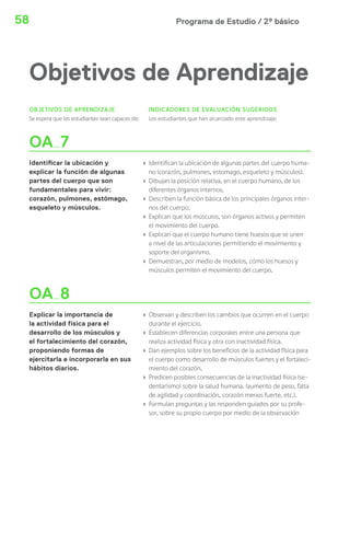 58 Programa de Estudio / 2º básico 
Objetivos de Aprendizaje 
OBJETIVOS DE APRENDIZAJE 
Se espera que los estudiantes sean capaces de: 
INDICADORES DE EVALUACIÓN SUGERIDOS 
Los estudiantes que han alcanzado este aprendizaje: 
OA 7 
Identi car la ubicación y 
explicar la función de algunas 
partes del cuerpo que son 
fundamentales para vivir: 
corazón, pulmones, estómago, 
esqueleto y músculos. 
› Identifican la ubicación de algunas partes del cuerpo huma-no 
(corazón, pulmones, estomago, esqueleto y músculos). 
› Dibujan la posición relativa, en el cuerpo humano, de los 
diferentes órganos internos. 
› Describen la función básica de los principales órganos inter-nos 
del cuerpo. 
› Explican que los músculos, son órganos activos y permiten 
el movimiento del cuerpo. 
› Explican que el cuerpo humano tiene huesos que se unen 
a nivel de las articulaciones permitiendo el movimiento y 
soporte del organismo. 
› Demuestran, por medio de modelos, cómo los huesos y 
músculos permiten el movimiento del cuerpo. 
OA 8 
Explicar la importancia de 
la actividad física para el 
desarrollo de los músculos y 
el fortalecimiento del corazón, 
proponiendo formas de 
ejercitarla e incorporarla en sus 
hábitos diarios. 
› Observan y describen los cambios que ocurren en el cuerpo 
durante el ejercicio. 
› Establecen diferencias corporales entre una persona que 
realiza actividad física y otra con inactividad física. 
› Dan ejemplos sobre los beneficios de la actividad física para 
el cuerpo como desarrollo de músculos fuertes y el fortaleci-miento 
del corazón. 
› Predicen posibles consecuencias de la inactividad física (se-dentarismo) 
sobre la salud humana. (aumento de peso, falta 
de agilidad y coordinación, corazón menos fuerte, etc.). 
› Formulan preguntas y las responden guiados por su profe-sor, 
sobre su propio cuerpo por medio de la observación 
 