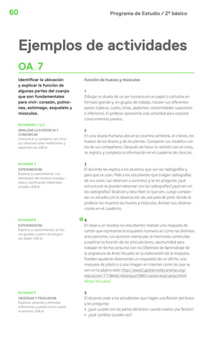 60 Programa de Estudio / 2º básico 
Ejemplos de actividades 
OA 7 
Identi car la ubicación 
y explicar la función de 
algunas partes del cuerpo 
que son fundamentales 
para vivir: corazón, pulmo-nes, 
estómago, esqueleto y 
músculos. 
Función de huesos y músculos 
1 
Dibujan la silueta de un ser humano en un papel o cartulina en 
formato grande y, en grupos de trabajo, rotulan sus diferentes 
partes (cabeza, cuello, tórax, abdomen, extremidades superiores 
e inferiores). El profesor aprovecha esta actividad para explorar 
conocimientos previos. 
2 
En una silueta humana ubican la columna vertebral, el cráneo, los 
huesos de los brazos y de las piernas. Comparan sus modelos con 
los de sus compañeros. Después de hacer la revisión con el curso, 
se registra y completa la información en el cuaderno de ciencias. 
3 
El docente les explica a los alumnos qué son las radiografías y 
para qué se usan. Pide a los estudiantes que traigan radiografías 
de sus casas. Las observan a contraluz y se les pregunta ¿qué 
estructuras se pueden observar con las radiografías?¿qué ven en 
las radiografías? Analizan y describen lo que ven. Luego comple-tan 
su estudio con la observación de una pata de pollo donde el 
profesor les muestre los huesos y músculos. Anotan sus observa-ciones 
en el cuaderno. 
4 
En base a un modelo los estudiantes realizan una maqueta de 
cartón que represente el esqueleto humano así como las distintas 
articulaciones. Los alumnos manipulan la marioneta construida 
y explican la función de las articulaciones, oportunidad para 
trabajar en forma conjunta con los Objetivos de Aprendizaje de 
la asignatura de Artes Visuales en la elaboración de la maqueta. 
Pueden ayudarse observando un esqueleto de un afiche, una 
maqueta de plástico o una imagen en internet como las que se 
ven en la página web: http://www2.gobiernodecanarias.org/ 
educacion/17/WebC/eltanque/CM6/cuerpo/esqcuerpo.html 
(Artes Visuales) 
5 
El docente pide a los estudiantes que hagan una flexión del brazo 
y les pregunta: 
› ¿qué sucede con las partes del brazo cuando realizo una flexión? 
› ¿qué cambios puedes ver? 
Actividades 1 y 2 
ANALIZAR LA EVIDENCIA Y 
COMUNICAR 
Comunicar y comparar con otros 
sus observaciones mediciones y 
experiencias. (OA e) 
Actividad 3 
EXPERIMENTAR 
Explorar y experimentar con 
elementos del entorno manipu-lado 
y clasificando materiales 
simples. (OA b) 
Actividad 4 
EXPERIMENTAR 
Explorar y experimentar, en for-ma 
guiada, a partir de pregun-tas 
dadas. (OA b) 
Actividad 5 
OBSERVAR Y PREGUNTAR 
Explorar, observar y formular 
inferencias y predicciones sobre 
el entorno. (OA a) 
 