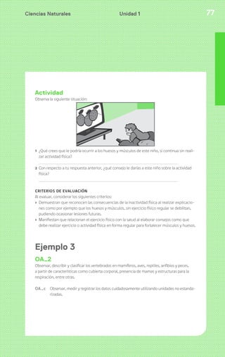 Ciencias Naturales Unidad 1 77 
Actividad 
Observa la siguiente situación: 
1 ¿Qué crees que le podría ocurrir a los huesos y músculos de este niño, si continua sin reali-zar 
actividad física? 
2 Con respecto a tu respuesta anterior, ¿qué consejo le darías a este niño sobre la actividad 
física? 
CRITERIOS DE EVALUACIÓN 
Al evaluar, considerar los siguientes criterios: 
› Demuestran que reconocen las consecuencias de la inactividad física al realizar explicacio-nes 
como por ejemplo que los huesos y músculos, sin ejercicio físico regular se debilitan, 
pudiendo ocasionar lesiones futuras. 
› Manifiestan que relacionan el ejercicio físico con la salud al elaborar consejos como que 
debe realizar ejercicio o actividad física en forma regular para fortalecer músculos y huesos. 
Ejemplo 3 
OA2 
Observar, describir y clasificar los vertebrados en mamíferos, aves, reptiles, anfibios y peces, 
a partir de características como cubierta corporal, presencia de mamas y estructuras para la 
respiración, entre otras. 
OA_c Observar, medir y registrar los datos cuidadosamente utilizando unidades no estanda-rizadas. 
 