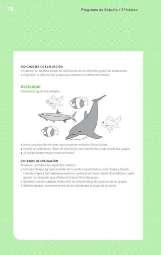 78 Programa de Estudio / 2º básico 
INDICADORES DE EVALUACIÓN 
› Elaboran un modelo simple de clasificación de los distintos grupos de vertebrados 
› Organizan la información y datos que obtienen en diferentes formas. 
Actividad 
Observa los siguientes animales. 
1 Arma conjuntos de animales que comparten atributos físicos visibles. 
2 Inventa una etiqueta o rótulo de descripción que represente a cada uno de tus grupos. 
3 ¿A qué grupo pertenecen estos animales? 
CRITERIOS DE EVALUACIÓN 
Al evaluar, considerar los siguientes criterios: 
› Demuestran que agrupan animales de acuerdo a características como forma y tipo de 
cubierta corporal (por ejemplo presencia o ausencia de líneas). Pudiendo establecer cuatro 
grupos con etiquetas que reflejen el atributo físico del grupo. 
› Muestran que son capaces de describir las características de cada uno de los grupos. 
› Manifiestan que reconocen dentro de los vertebrados al grupo de los peces. 
 