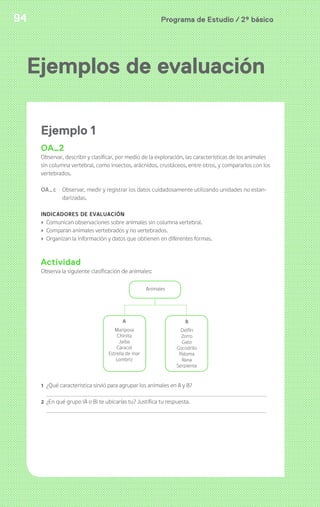 94 Programa de Estudio / 2º básico 
Ejemplos de evaluación 
Ejemplo 1 
OA2 
Observar, describir y clasificar, por medio de la exploración, las características de los animales 
sin columna vertebral, como insectos, arácnidos, crustáceos, entre otros, y compararlos con los 
vertebrados. 
OA_c Observar, medir y registrar los datos cuidadosamente utilizando unidades no estan-darizadas. 
INDICADORES DE EVALUACIÓN 
› Comunican observaciones sobre animales sin columna vertebral. 
› Comparan animales vertebrados y no vertebrados. 
› Organizan la información y datos que obtienen en diferentes formas. 
Actividad 
Observa la siguiente clasificación de animales: 
Animales 
A 
Mariposa 
Chinita 
Jaiba 
Caracol 
Estrella de mar 
Lombriz 
B 
Delfín 
Zorro 
Gato 
Cocodrilo 
Paloma 
Rana 
Serpiente 
1 ¿Qué caracteristica sirvió para agrupar los animales en A y B? 
2 ¿En qué grupo (A o B) te ubicarías tu? Justifica tu respuesta. 
 