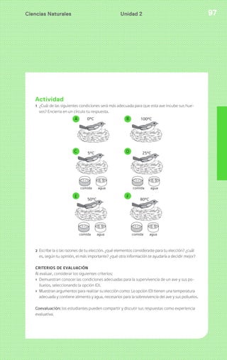 Ciencias Naturales Unidad 2 97 
Actividad 
1 ¿Cuál de las siguientes condiciones será más adecuada para que esta ave incube sus hue-vos? 
Encierra en un círculo tu respuesta. 
2 Escribe la o las razones de tu elección. ¿qué elementos consideraste para tu elección? ¿cuál 
es, según tu opinión, el más importante? ¿qué otra información te ayudaría a decidir mejor? 
CRITERIOS DE EVALUACIÓN 
Al evaluar, considerar los siguientes criterios: 
› Demuestran conocer las condiciones adecuadas para la supervivencia de un ave y sus po-lluelos, 
seleccionando la opción (D). 
› Muestran argumentos para realizar su elección como: La opción (D) tienen una temperatura 
adecuada y contiene alimento y agua, necesarios para la sobrevivencia del ave y sus polluelos. 
Coevaluación: los estudiantes pueden compartir y discutir sus respuestas como experiencia 
evaluativa. 
 