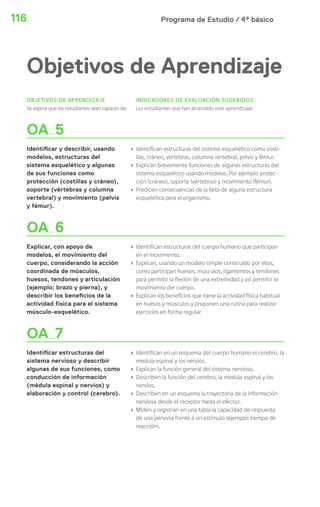 Programa de Estudio / 4º básico116
Objetivos de Aprendizaje
OBJETIVOS DE APRENDIZAJE
Se espera que los estudiantes sean capaces de:
INDICADORES DE EVALUACIÓN SUGERIDOS
Los estudiantes que han alcanzado este aprendizaje:
OA 5
Identificar y describir, usando
modelos, estructuras del
sistema esquelético y algunas
de sus funciones como
protección (costillas y cráneo),
soporte (vértebras y columna
vertebral) y movimiento (pelvis
y fémur).
› Identifican estructuras del sistema esquelético como costi-
llas, cráneo, vertebras, columna vertebral, pelvis y fémur.
› Explican brevemente funciones de algunas estructuras del
sistema esquelético usando modelos. Por ejemplo protec-
ción (cráneo), soporte (vértebras) y movimiento (fémur).
› Predicen consecuencias de la falta de alguna estructura
esquelética para el organismo.
OA 6
Explicar, con apoyo de
modelos, el movimiento del
cuerpo, considerando la acción
coordinada de músculos,
huesos, tendones y articulación
(ejemplo: brazo y pierna), y
describir los beneficios de la
actividad física para el sistema
músculo-esquelético.
› Identifican estructuras del cuerpo humano que participan
en el movimiento.
› Explican, usando un modelo simple construido por ellos,
como participan huesos, músculos, ligamentos y tendones
para permitir la flexión de una extremidad y así permitir el
movimiento del cuerpo.
› Explican los beneficios que tiene la actividad física habitual
en huesos y músculos y proponen una rutina para realizar
ejercicios en forma regular.
OA 7
Identificar estructuras del
sistema nervioso y describir
algunas de sus funciones, como
conducción de información
(médula espinal y nervios) y
elaboración y control (cerebro).
› Identifican en un esquema del cuerpo humano el cerebro, la
medula espinal y los nervios.
› Explican la función general del sistema nervioso.
› Describen la función del cerebro, la medula espinal y los
nervios.
› Describen en un esquema la trayectoria de la información
nerviosa desde el receptor hasta el efector.
› Miden y registran en una tabla la capacidad de respuesta
de una persona frente a un estímulo (ejemplo: tiempo de
reacción).
 