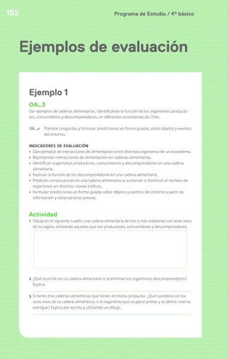 Programa de Estudio / 4º básico152
Ejemplos de evaluación
Ejemplo 1
OA_3
Dar ejemplos de cadenas alimentarias, identificando la función de los organismos producto-
res, consumidores y descomponedores, en diferentes ecosistemas de Chile.
OA_a Plantear preguntas y formular predicciones en forma guiada, sobre objetos y eventos
del entorno.
INDICADORES DE EVALUACIÓN
› Dan ejemplos de interacciones de alimentación entre distintos organismos de un ecosistema.
› Representan interacciones de alimentación en cadenas alimentarias.
› Identifican organismos productores, consumidores y descomponedores en una cadena
alimentaria.
› Explican la función de los descomponedores en una cadena alimentaria.
› Predicen consecuencias en una cadena alimentaria al aumentar o disminuir el número de
organismos en distintos niveles tróficos.
› Formulan predicciones en forma guiada sobre objetos y eventos del entorno a partir de
información y observaciones previas.
Actividad
1 Dibuja en el siguiente cuadro una cadena alimentaria de tres o más eslabones con seres vivos
de tu región, señalando aquellos que son productores, consumidores y descomponedores.
2 ¿Qué ocurrirá con tu cadena alimentaria si se eliminan los organismos descomponedores?
Explica.
3 Si tienes tres cadenas alimenticias que tienen el mismo productor. ¿Qué sucederá con los
seres vivos de tu cadena alimenticia, si el organismo que ocupa el primer y el último nivel se
extingue? Explica por escrito y utilizando un dibujo.
 