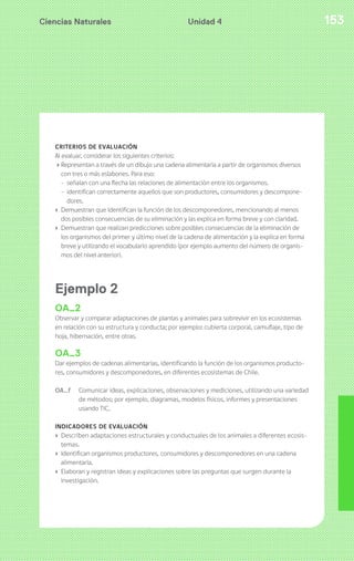 Ciencias Naturales 153Unidad 4
CRITERIOS DE EVALUACIÓN
Al evaluar, considerar los siguientes criterios:
› Representan a través de un dibujo una cadena alimentaria a partir de organismos diversos
con tres o más eslabones. Para eso:
- señalan con una flecha las relaciones de alimentación entre los organismos.
- identifican correctamente aquellos que son productores, consumidores y descompone-
dores.
› Demuestran que identifican la función de los descomponedores, mencionando al menos
dos posibles consecuencias de su eliminación y las explica en forma breve y con claridad.
› Demuestran que realizan predicciones sobre posibles consecuencias de la eliminación de
los organismos del primer y último nivel de la cadena de alimentación y la explica en forma
breve y utilizando el vocabulario aprendido (por ejemplo aumento del número de organis-
mos del nivel anterior).
Ejemplo 2
OA_2
Observar y comparar adaptaciones de plantas y animales para sobrevivir en los ecosistemas
en relación con su estructura y conducta; por ejemplo: cubierta corporal, camuflaje, tipo de
hoja, hibernación, entre otras.
OA_3
Dar ejemplos de cadenas alimentarias, identificando la función de los organismos producto-
res, consumidores y descomponedores, en diferentes ecosistemas de Chile.
OA_f Comunicar ideas, explicaciones, observaciones y mediciones, utilizando una variedad
de métodos; por ejemplo, diagramas, modelos físicos, informes y presentaciones
usando TIC.
INDICADORES DE EVALUACIÓN
› Describen adaptaciones estructurales y conductuales de los animales a diferentes ecosis-
temas.
› Identifican organismos productores, consumidores y descomponedores en una cadena
alimentaria.
› Elaboran y registran ideas y explicaciones sobre las preguntas que surgen durante la
investigación.
 