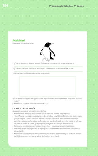 Programa de Estudio / 4º básico154
Actividad
Observa el siguiente animal:
1 ¿Cuál es el nombre de este animal? Señala cuatro características que sepas de él.
2 ¿Qué adaptaciones tiene este animal para sobrevivir en su ambiente? Explícalas
3 Dibuje el ecosistema en el que vive este animal.
4 Si se alimenta de pescado ¿qué tipo de organismo es, descomponedor, productor o consu-
midor?
5 Menciona otros tres animales del mismo tipo.
CRITERIOS DE EVALUACIÓN
Al evaluar, considerar los siguientes criterios:
› Mencionan al menos cuatro características comunes a todos los pingüinos.
› Identifican al menos tres adaptaciones del pingüino a su hábitat. Por ejemplo aletas, patas
y capas de piel. Explica cómo las estructuras mencionadas(al menos refiérase a tres) le
permiten adaptarse al ecosistema. Por ejemplo que las aletas le permiten nadar en el mar,
las patas le sirven de timón, y la piel para protegerse de las bajas temperaturas.
› Reconocen ecosistemas con los elementos vivos y no vivos y sus especies típicas.
› Indican qué tipo de organismo es el pingüino fundamentada en la información sobre su
alimentación.
› Mencionan otros ejemplos demostrando conocimiento de animales y su forma de alimen-
tación (consumidor porque se alimenta de otros seres vivos).
 