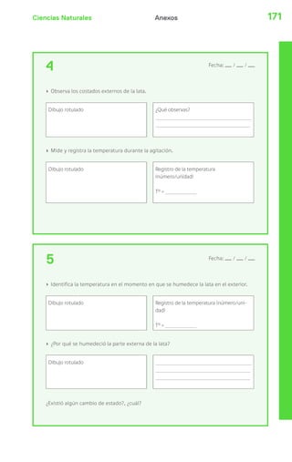 Ciencias Naturales 171Anexos
4 Fecha: / /
› Observa los costados externos de la lata.
Dibujo rotulado ¿Qué observas?
› Mide y registra la temperatura durante la agitación.
Dibujo rotulado Registro de la temperatura
(número/unidad)
Tº =
5 Fecha: / /
› Identifica la temperatura en el momento en que se humedece la lata en el exterior.
Dibujo rotulado Registro de la temperatura (número/uni-
dad)
Tº =
› ¿Por qué se humedeció la parte externa de la lata?
Dibujo rotulado
¿Existió algún cambio de estado?, ¿cuál?
 