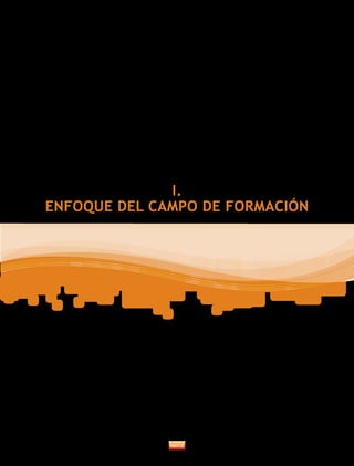 I.
ENFOQUE DEL CAMPO DE FORMACIÓN
 