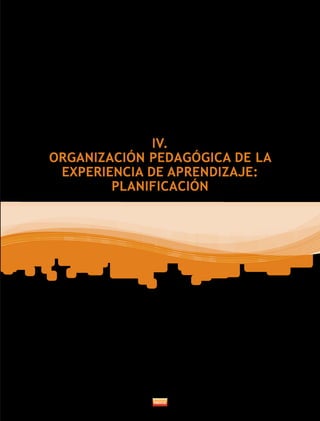 IV.
ORGANIZACIÓN PEDAGÓGICA DE LA
 EXPERIENCIA DE APRENDIZAJE:
        PLANIFICACIÓN
 