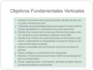 Objetivos Fundamentales Verticales 
 