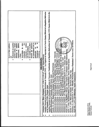 Programa defensa integral oficial