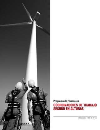Programa de Formación

COORDINADORES DE TRABAJO
SEGURO EN ALTURAS
(Resolución 1409 de 2013)

 
