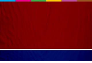 Programa de gestão - Pedro Lino