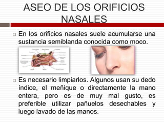 ASEO DE LOS ORIFICIOS
NASALES
 En los orificios nasales suele acumularse una
sustancia semiblanda conocida como moco.
 Es necesario limpiarlos. Algunos usan su dedo
índice, el meñique o directamente la mano
entera, pero es de muy mal gusto, es
preferible utilizar pañuelos desechables y
luego lavado de las manos.
 