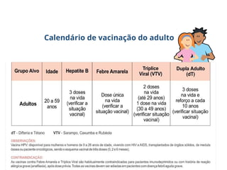 Calendário de vacinação do adulto
 