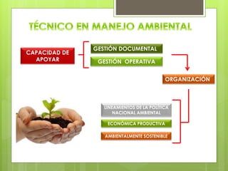 CAPACIDAD DE
APOYAR
GESTIÓN DOCUMENTAL
GESTIÓN OPERATIVA
ORGANIZACIÓN
ECONÓMICA PRODUCTIVA
LINEAMIENTOS DE LA POLÍTICA
NACIONAL AMBIENTAL
AMBIENTALMENTE SOSTENIBLE
 