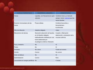 CARACTERÍSTICA DIARREA LÍQUIDA DISENTERÍA
Heces Líquidas, con frecuencia en gran
volumen
Contiene moco y a menudo
sangre; menor volumenque las
heces líquidas
Examen microscópico de las
heces
Pocas células Contiene leucocitos y
frecuentemen-
te eritrocitos
Sitio de infección Intestino delgado Colon
Mecanismo de diarrea Secreción absorción de líquidos
en el intestino delgado;
habitualmente mediada por una
toxina elaborada por
el patógeno entérico infectante
Invasión, inflamación
destrucción y ulceración de la
mucosa colónica
Pujo y tenesmo No Sí
Fiebre No Sí
Anorexia No o leve Puede ser severa
Vómito Común No común
Dolor al defecar No Sí
Deshidratación Común Raro
Leucocitosis en sangre periférica No A veces
 