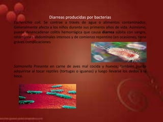 Diarreas producidas por bacterias
Escherichia coli. Se contrae a través de agua o alimentos contaminados.
Generalmente afecta a los niños durante sus primeros años de vida. Asimismo,
puede desencadenar colitis hemorrágica que causa diarrea súbita con sangre,
retortijones abdominales intensos y de comienzo repentino (en ocasiones, tiene
graves complicaciones
Salmonella Presente en carne de aves mal cocida y huevos; también puede
adquirirse al tocar reptiles (tortugas o iguanas) y luego llevarse los dedos a la
boca.
 