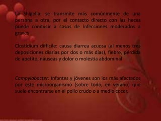 La Shigella: se transmite más comúnmente de una
persona a otra, por el contacto directo con las heces
puede conducir a casos de infecciones moderados a
graves
Clostidium difficile: causa diarrea acuosa (al menos tres
deposiciones diarias por dos o más días), fiebre, pérdida
de apetito, náuseas y dolor o molestia abdominal
Campylobacter: Infantes y jóvenes son los más afectados
por este microorganismo (sobre todo, en verano) que
suele encontrarse en el pollo crudo o a medio cocer.
 