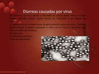 Diarreas causadas por virus
•El norovirus (o virus similar a Norwalk) es común entre niños en edad
escolar. También puede causar brotes en hospitales y en barcos de
cruceros.
•El rotavirus es la principal causa de gastroenteritis grave en niños. También
puede infectar a adultos expuestos a niños con el virus y a personas que
viven en asilos de ancianos.
•El astro virus.
•El adenovirus entérico.
•Tipos de adenovirus
 