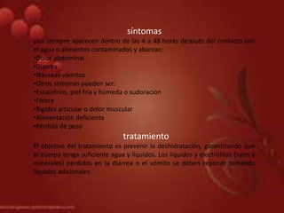 síntomas
casi siempre aparecen dentro de las 4 a 48 horas después del contacto con
el agua o alimentos contaminados y abarcan:
•Dolor abdominal
•Diarrea
•Náuseas vómitos
•Otros síntomas pueden ser:
•Escalofríos, piel fría y húmeda o sudoración
•Fiebre
•Rigidez articular o dolor muscular
•Alimentación deficiente
•Pérdida de peso
tratamiento
El objetivo del tratamiento es prevenir la deshidratación, garantizando que
el cuerpo tenga suficiente agua y líquidos. Los líquidos y electrólitos (sales y
minerales) perdidos en la diarrea o el vómito se deben reponer tomando
líquidos adicionales.
 