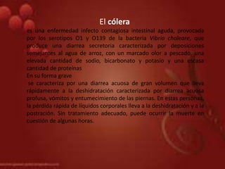 El cólera
es una enfermedad infecto contagiosa intestinal aguda, provocada
por los serotipos O1 y O139 de la bacteria Vibrio choleare, que
produce una diarrea secretoria caracterizada por deposiciones
semejantes al agua de arroz, con un marcado olor a pescado, una
elevada cantidad de sodio, bicarbonato y potasio y una escasa
cantidad de proteínas
En su forma grave
se caracteriza por una diarrea acuosa de gran volumen que lleva
rápidamente a la deshidratación caracterizada por diarrea acuosa
profusa, vómitos y entumecimiento de las piernas. En estas personas,
la pérdida rápida de líquidos corporales lleva a la deshidratación y a la
postración. Sin tratamiento adecuado, puede ocurrir la muerte en
cuestión de algunas horas.
 