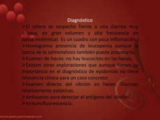 Diagnóstico
El cólera se sospecha frente a una diarrea muy
acuosa, en gran volumen y alta frecuencia en
zonas endémicas Es un cuadro con poca inflamación.
Hemograma presencia de leucopenia aunque la
toxina de la salmonelosis también puede provocarla.
Examen de heces: no hay leucocitos en las heces.
Existen otras exploraciones que aunque tienen su
importancia en el diagnóstico de epidemias no tiene
relevancia clínica para un caso concreto:
Examen directo del vibrión en heces. Diarreas
relativamente asépticas.
Antisueros para detectar el antígeno del vibrión.
Inmunofluorescencia.
 