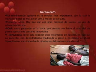 Tratamiento
La rehidratación agresiva es la medida más importante, con lo cual la
mortalidad baja de más de un 50% a menos de un 0,2%.
Solución salina. Hay que dar una gran cantidad de sueros, las vías de
administración son:
Oral: suero goteando en la boca, que aunque sea lento al cabo del día
puede aportar una cantidad importante
 .Intravenosa: ideal para reponer altos volúmenes de líquidos, en especial
en pacientes con deshidratación moderada o grave o en estado de shock
hipovolómico si es imposible la hidratación del paciente por vía oral
 