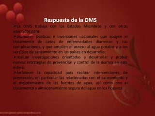 Respuesta de la OMS
La OMS trabaja con los Estados Miembros y con otros
asociados para:
promover políticas e inversiones nacionales que apoyen el
tratamiento de casos de enfermedades diarreicas y sus
complicaciones, y que amplíen el acceso al agua potable y a los
servicios de saneamiento en los países en desarrollo;
realizar investigaciones orientadas a desarrollar y probar
nuevas estrategias de prevención y control de la diarrea en esta
esfera;
fortalecer la capacidad para realizar intervenciones de
prevención, en particular las relacionadas con el saneamiento y
el mejoramiento de las fuentes de agua, así como con el
tratamiento y almacenamiento seguro del agua en los hogares
 