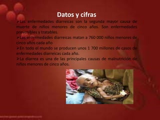 Datos y cifras
Las enfermedades diarreicas son la segunda mayor causa de
muerte de niños menores de cinco años. Son enfermedades
prevenibles y tratables.
Las enfermedades diarreicas matan a 760 000 niños menores de
cinco años cada año
En todo el mundo se producen unos 1 700 millones de casos de
enfermedades diarreicas cada año.
La diarrea es una de las principales causas de malnutrición de
niños menores de cinco años.
 