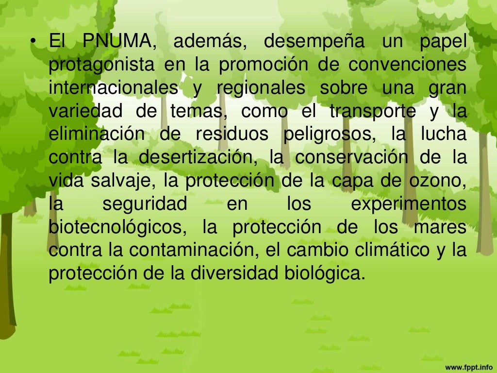 Programa de las naciones unidas en el medio ambiente(PNUMA)