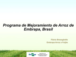 Programa de Mejoramiento de Arroz de
          Embrapa, Brasil

                         Flávio Breseghello
                      Embrapa Arroz e Feijão
 