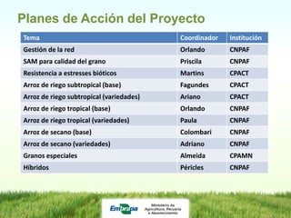Planes de Acción del Proyecto
Tema                                      Coordinador   Institución
Gestión de la red                         Orlando       CNPAF
SAM para calidad del grano                Priscila      CNPAF
Resistencia a estresses bióticos          Martins       CPACT
Arroz de riego subtropical (base)         Fagundes      CPACT
Arroz de riego subtropical (variedades)   Ariano        CPACT
Arroz de riego tropical (base)            Orlando       CNPAF
Arroz de riego tropical (variedades)      Paula         CNPAF
Arroz de secano (base)                    Colombari     CNPAF
Arroz de secano (variedades)              Adriano       CNPAF
Granos especiales                         Almeida       CPAMN
Híbridos                                  Péricles      CNPAF
 