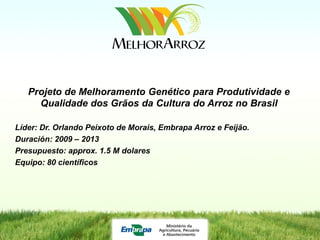 Programa de mejoramiento de arroz de Embrapa Brasil