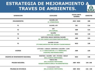 Programa de mejoramiento Fedearroz FNA situacion actual y perspectivas
