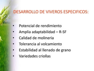 Programa de mejoramiento Fedearroz FNA situacion actual y perspectivas