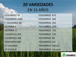 Programa de mejoramiento Fedearroz FNA situacion actual y perspectivas