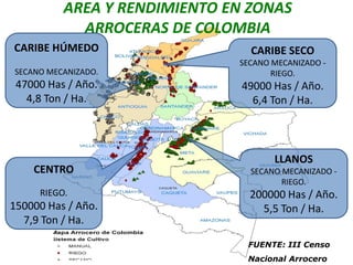 Programa de mejoramiento Fedearroz FNA situacion actual y perspectivas