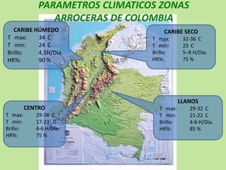 Programa de mejoramiento Fedearroz FNA situacion actual y perspectivas
