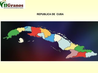 Programa de mejoramiento genetico del arroz en Cuba