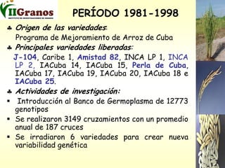 Programa de mejoramiento genetico del arroz en Cuba
