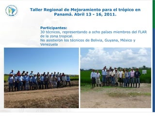 Programa de mejoramiento genetico Flar