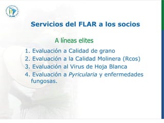 Programa de mejoramiento genetico Flar