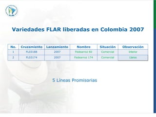 Programa de mejoramiento genetico Flar